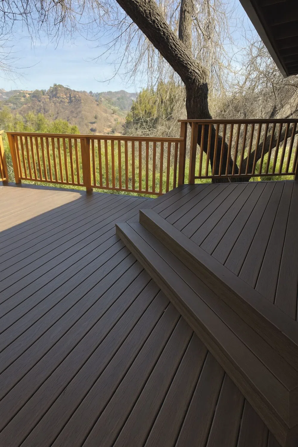 trex-deck-and-steps-shaded